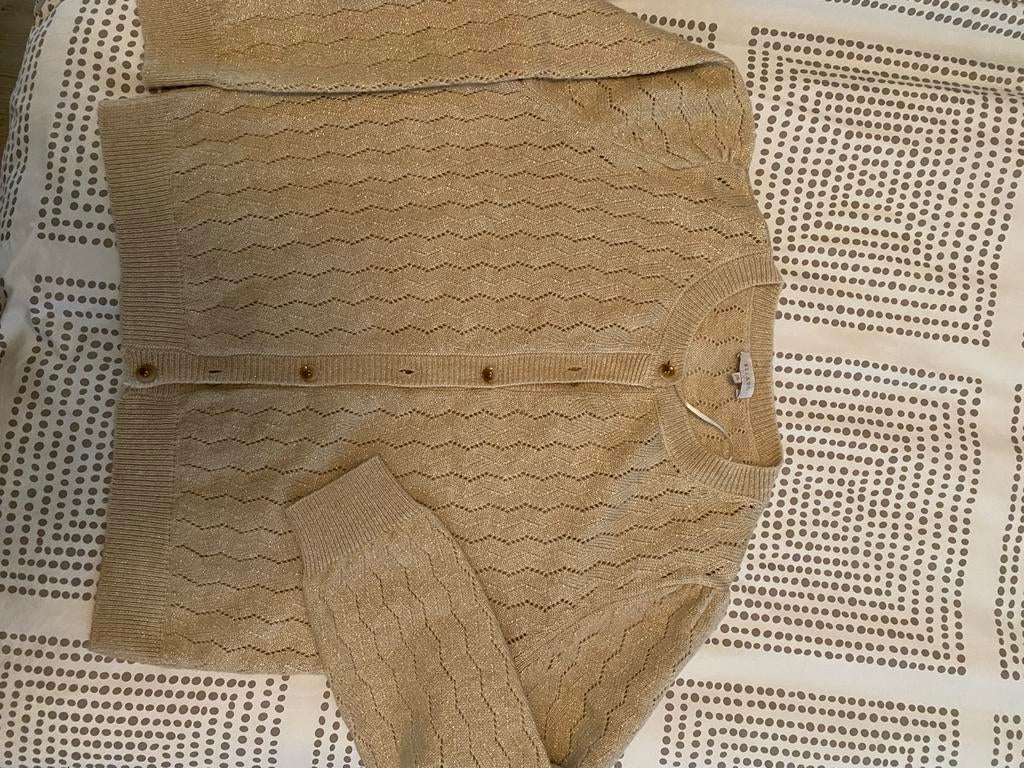 Mooi vestje, Kleding | Dames, Truien en Vesten, Ophalen of Verzenden, Nieuw, Maat 46/48 (XL) of groter, Beige