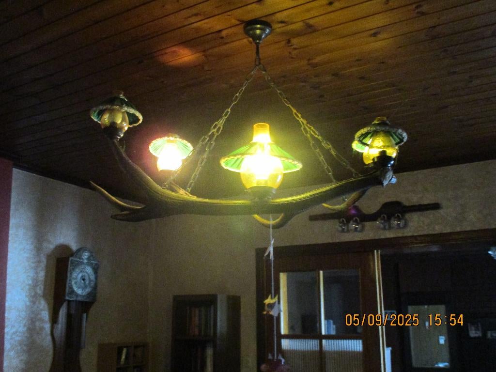 lustre en bois de cerf, Enlèvement, Comme neuf, Cerf, Autres types