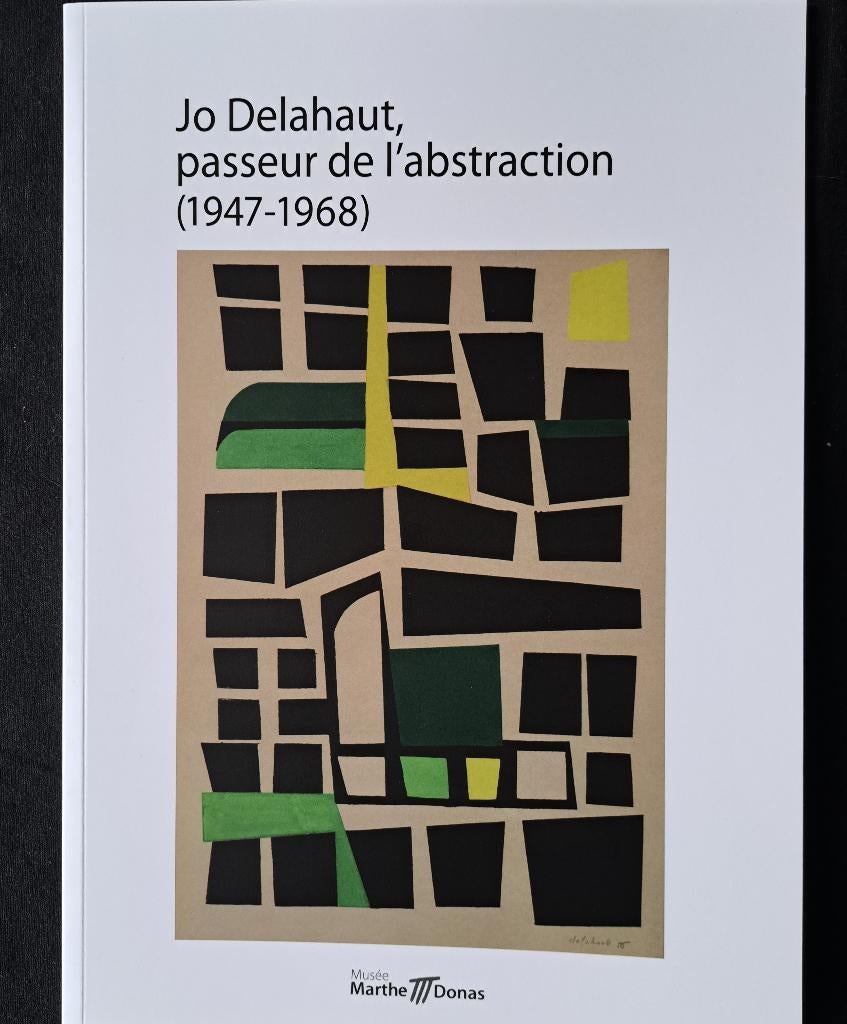 Jo Delahaut " passeur de l'abstraction" ( 1947- 1968 ), Boeken, Roger Palm, Ophalen of Verzenden, Zo goed als nieuw, Schilder- en Tekenkunst