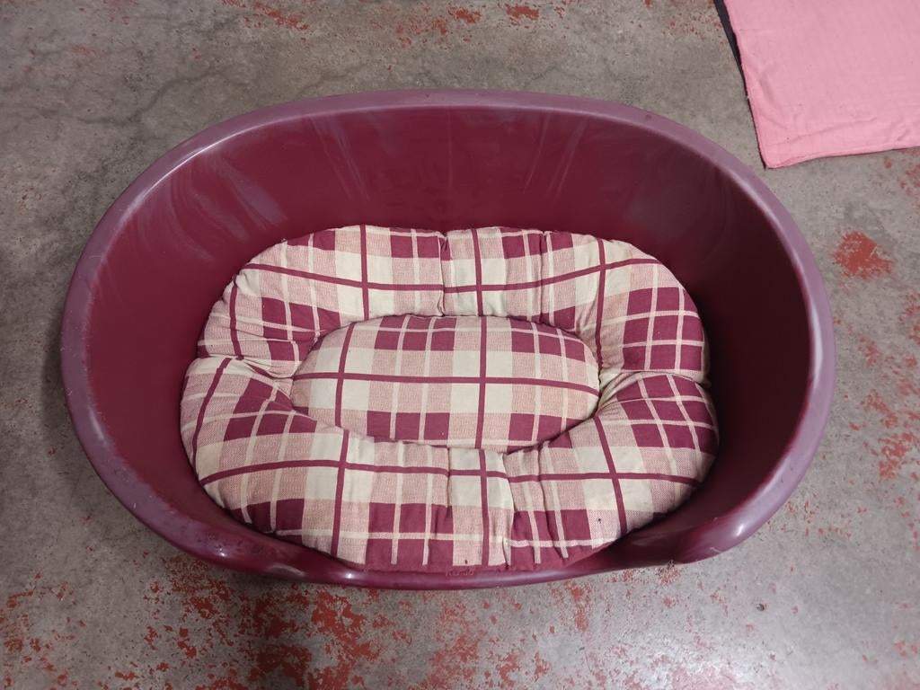 Panier rouge chien, Enlèvement ou Envoi, Comme neuf, Autre