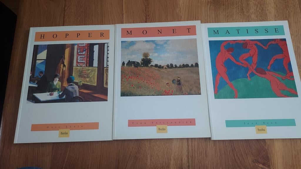 De la série Bonfini Monet-Hopper-Matisse, Enlèvement