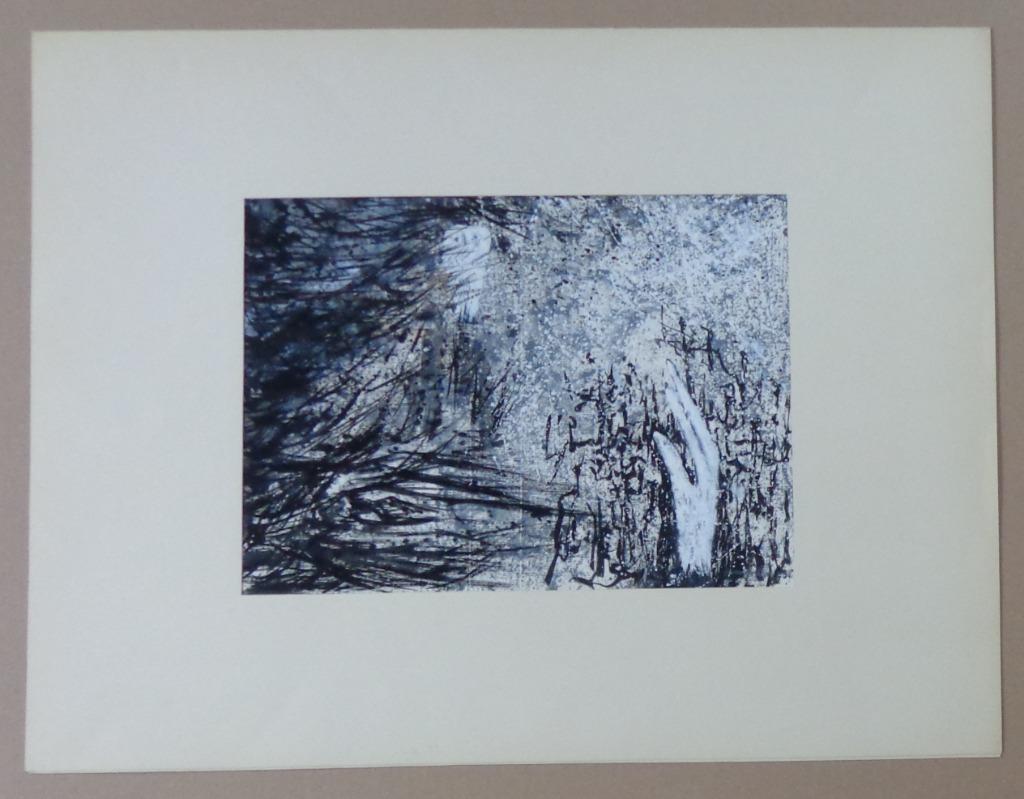 JAN VAERTEN / HAND + UIL / ORIGINEEL WERK / 50x65cm / SIG, Ophalen of Verzenden
