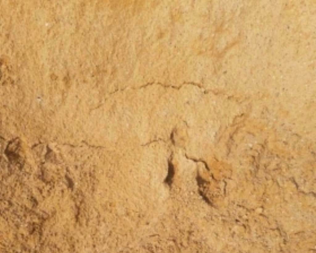 gele zand, Tuin en Terras, Aarde en Mest, Ophalen