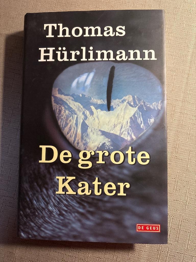 De grote kater, Enlèvement ou Envoi, Thomas Hürlimann, Belgique, Comme neuf