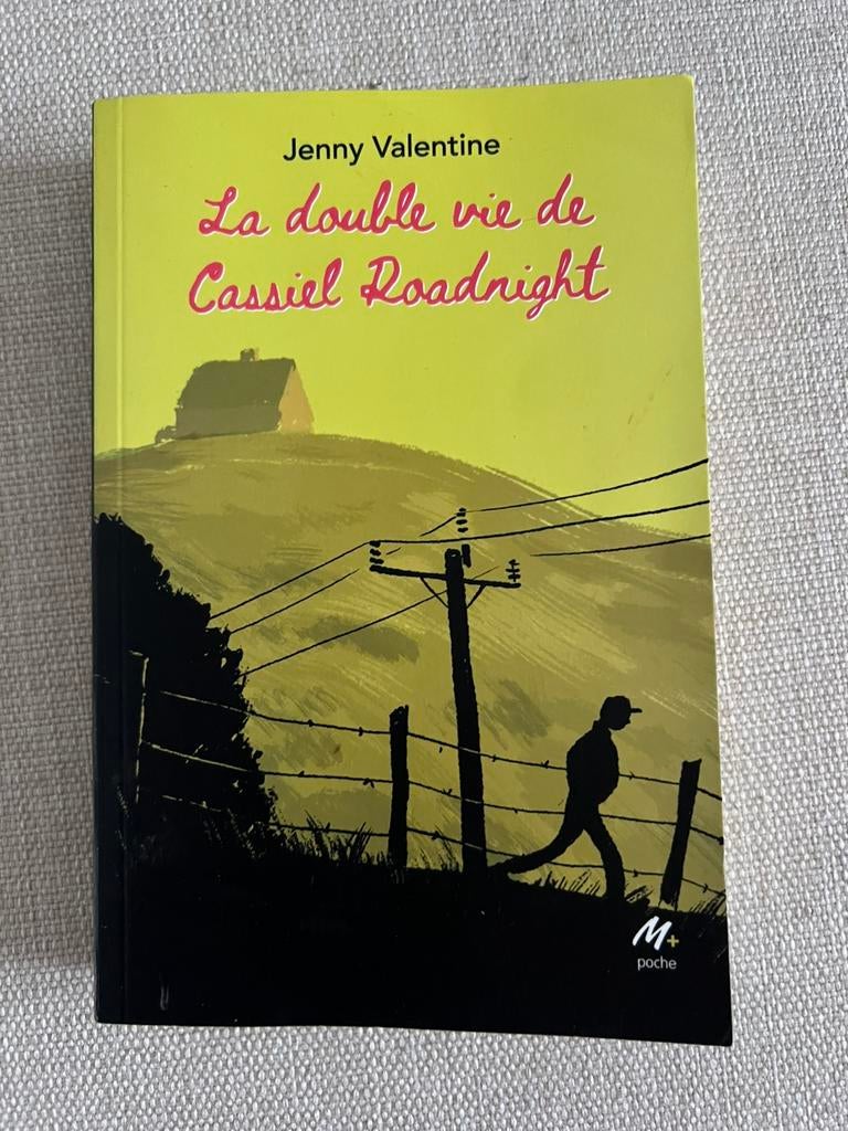 La double vie de Cassiel Roodnight de Jenny Valentine, Livres, Enlèvement ou Envoi, Comme neuf