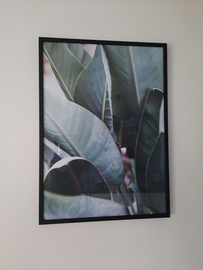 Belle peinture derrière verre « Strelitzia Leaf », Neuf, Enlèvement, 50 à 75 cm, Imprimé