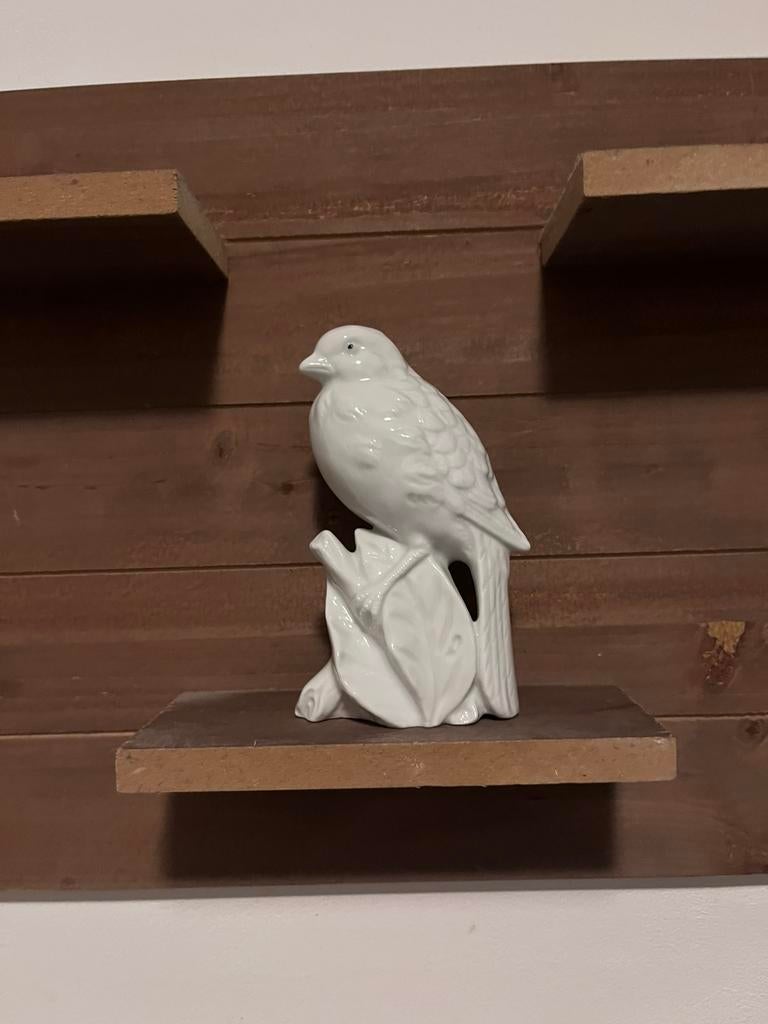 Porcelaine vogelje, Enlèvement