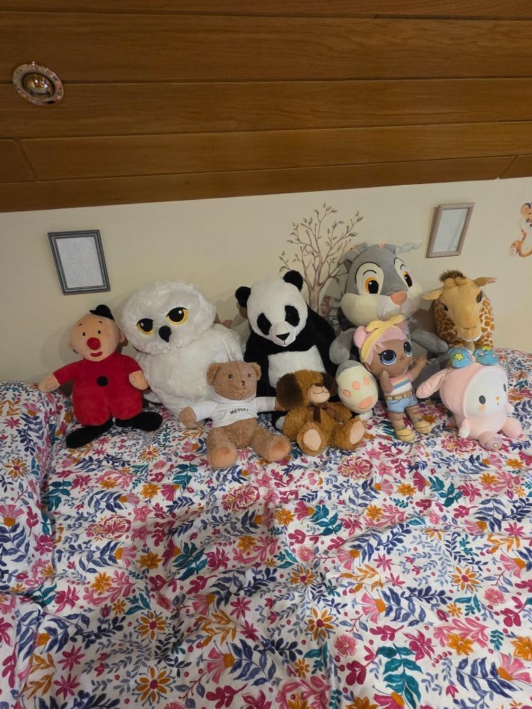 COLLECTION D'ANIMAUX EN PELUCHE NEUVE, Enfants & Bébés, Jouets | Peluches, Comme neuf, Autres types, Enlèvement