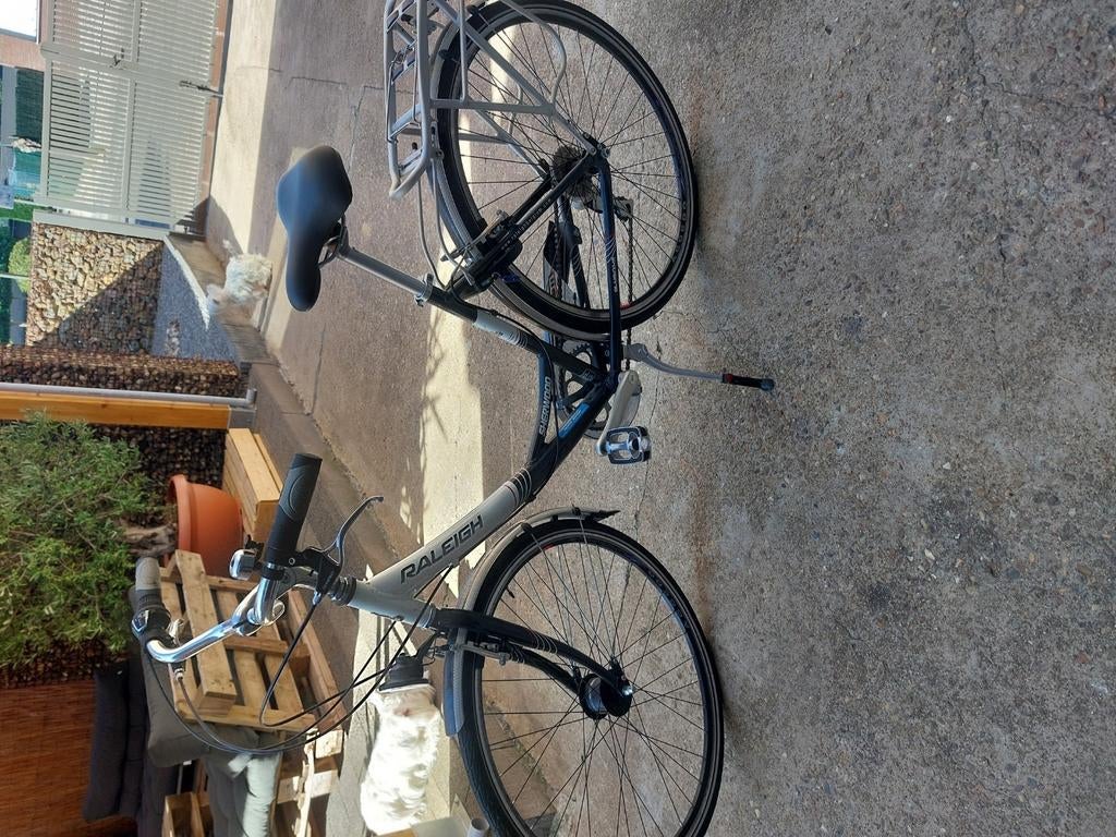 Raleigh dames fiets, Fietsen en Brommers, Fietsen | Dames | Damesfietsen, Ophalen, Zo goed als nieuw