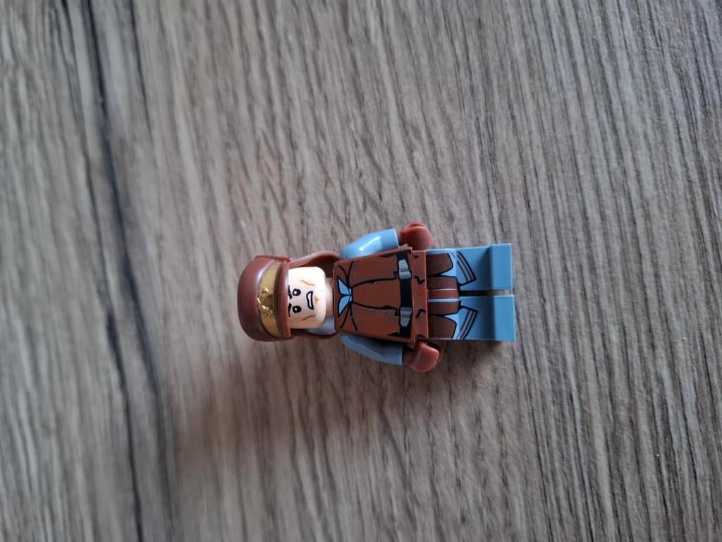 Lego Star Wars : Naboo Guard, Verzenden, Zo goed als nieuw, Lego
