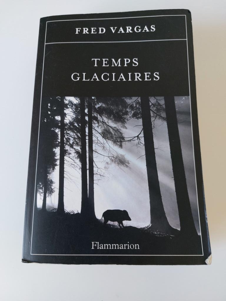 Temps glacières, Fred Vargas, Livres, Policiers, Utilisé, Enlèvement ou Envoi