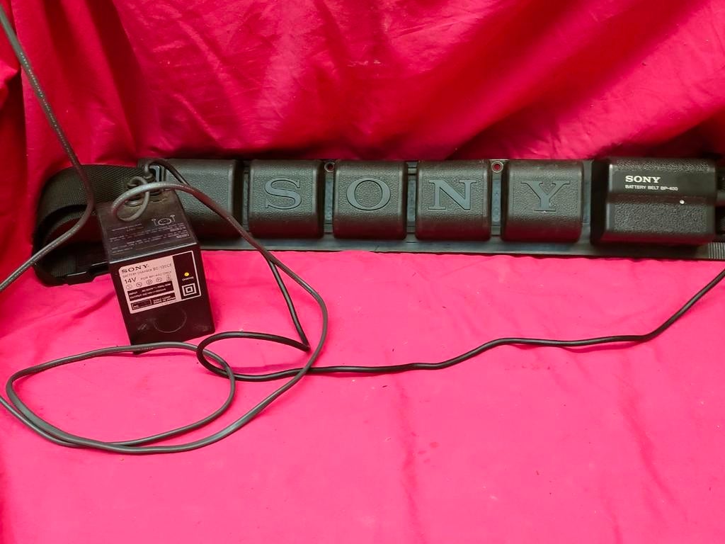 Sony batterij riem., Audio, Tv en Foto, Accu's en Batterijen, Ophalen of Verzenden, Zo goed als nieuw