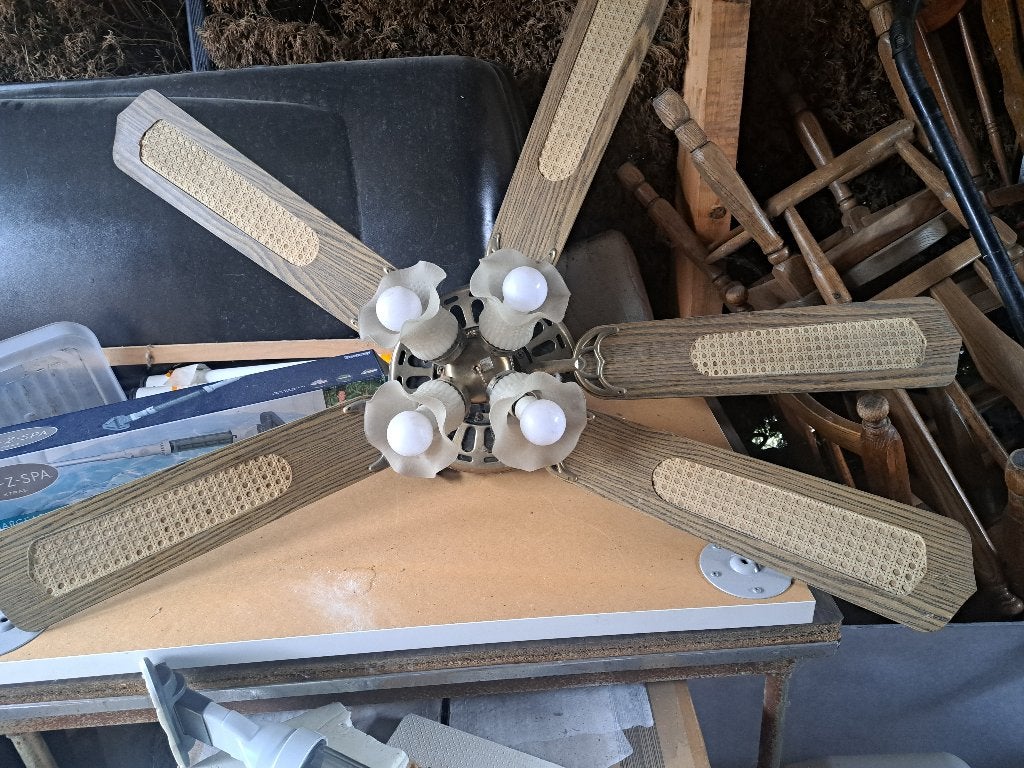 ventilateur de plafond avec lumière, Enlèvement, Utilisé, Ventilateur de plafond