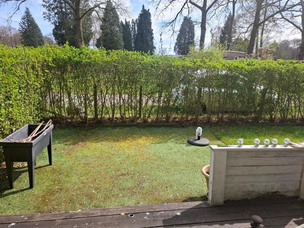 Houten chalet te Schoten, Speeltuin, In bos, Overige