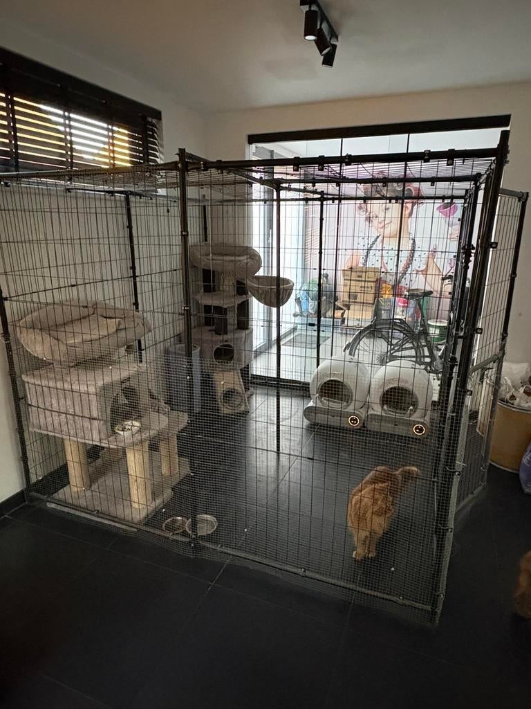 Katten Hok, Dieren en Toebehoren, Ophalen, Zo goed als nieuw