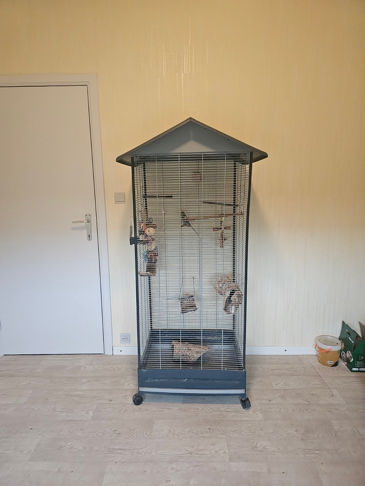 Deze koppeltje grasparkietjes zoeken een nieuwe thuis!, Ophalen