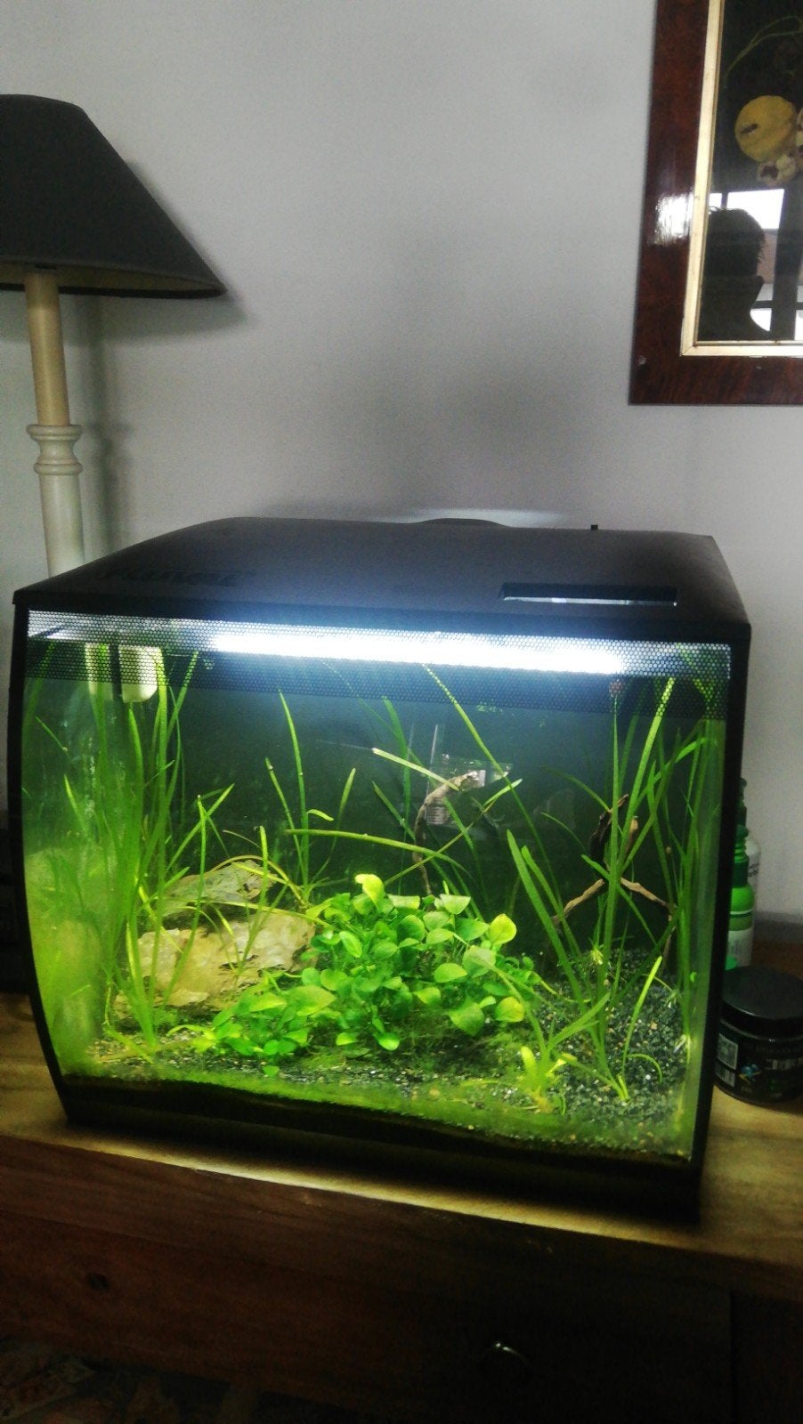Fluval aquarium, Ophalen, Fluval