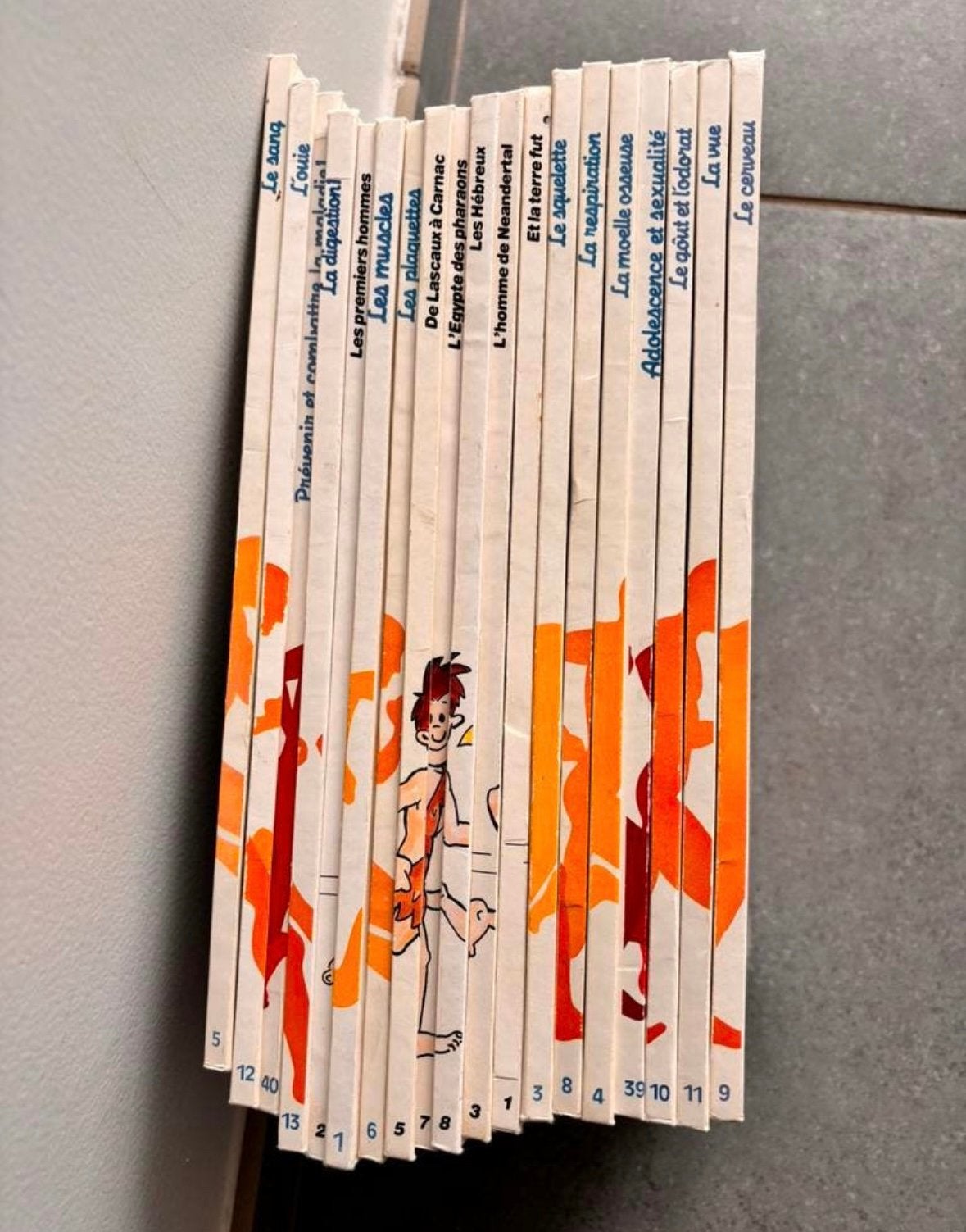 Lot de 19 livres - il etait une fois la vie, Enlèvement, Comme neuf