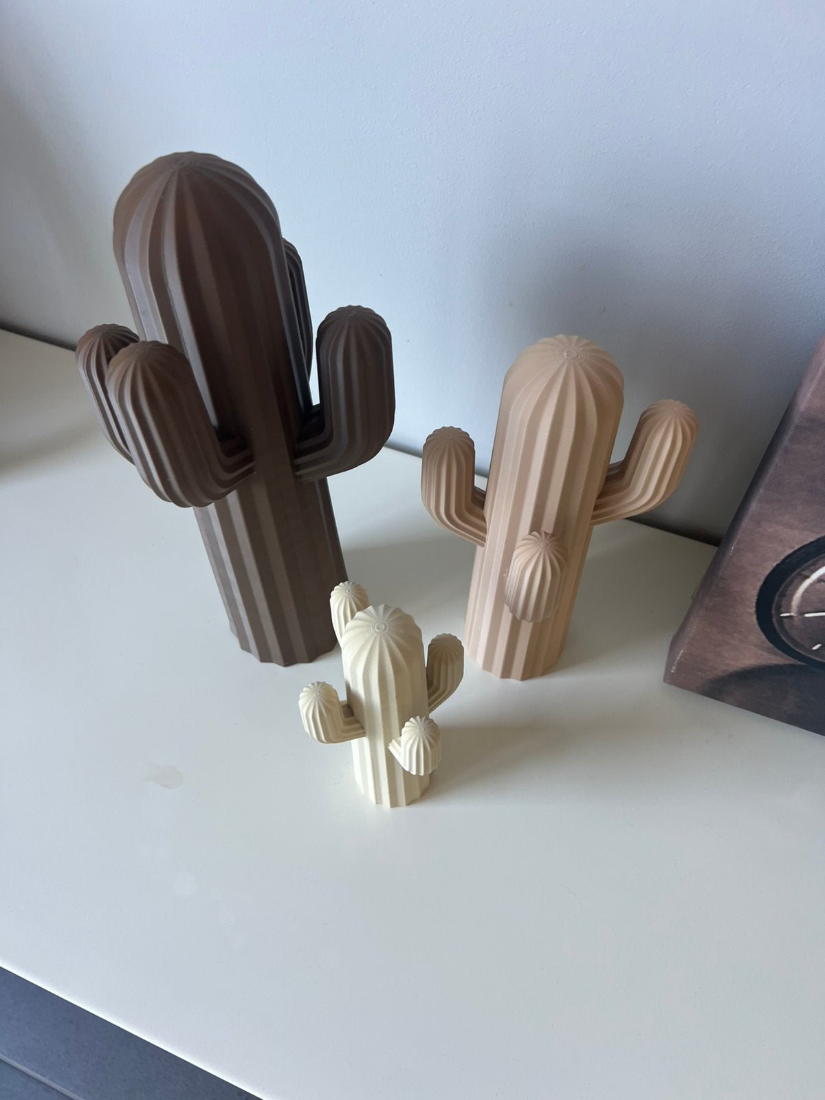 Deco binnen of buiten  🌵 cactus Japandi, Ophalen of Verzenden, Nieuw, Kunststof, Japandi