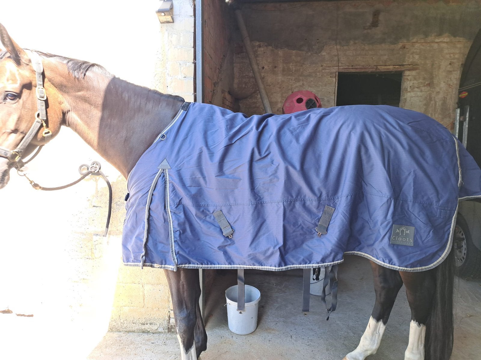Paardendekens maat 205 ook pony 135, Ophalen, Zo goed als nieuw