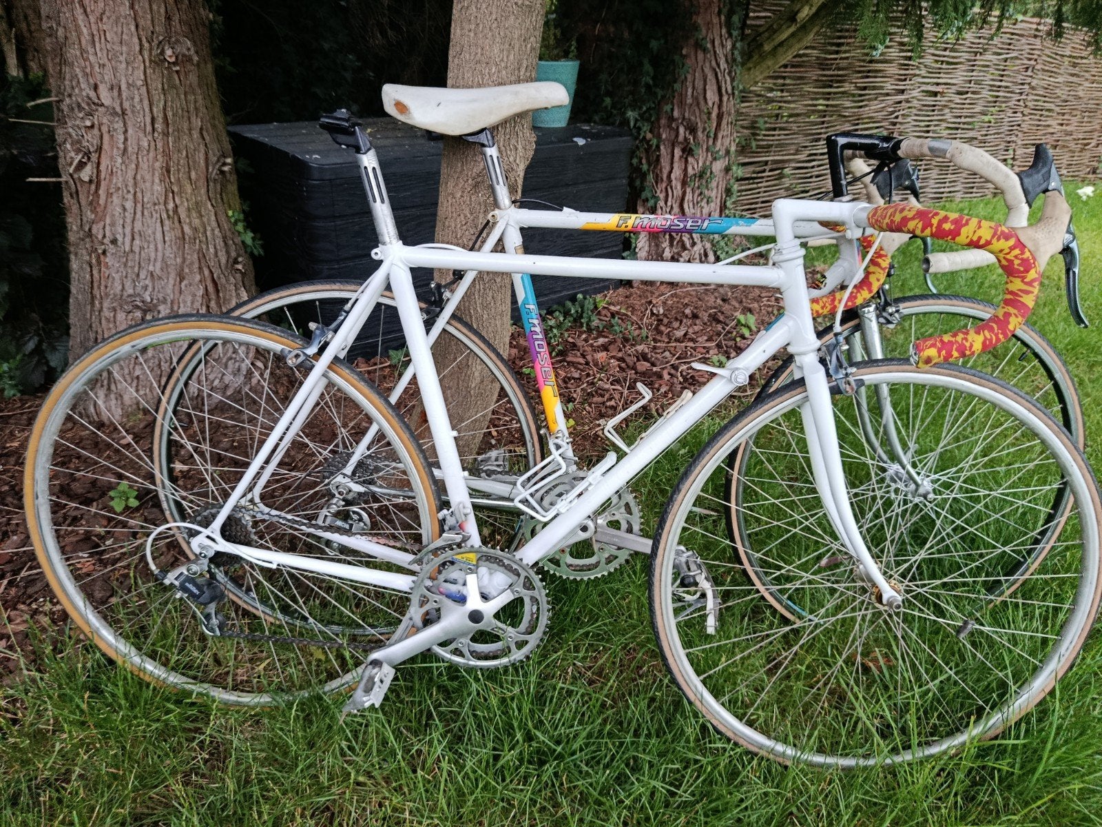 Francesco Moser+ Vlaanderen prijs voor het kavel, Fietsen en Brommers