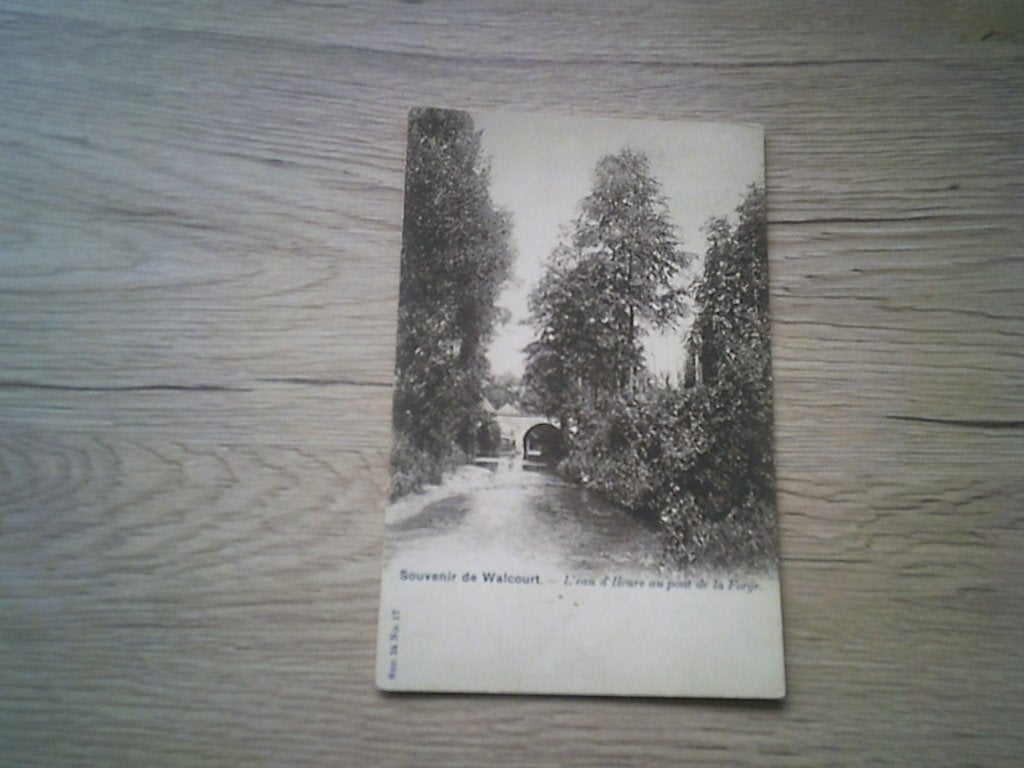 WALCOURT: L'eau d'Heure au pont de la Forge, Collections, Enlèvement ou Envoi, Avant 1920, Affranchie, Namur