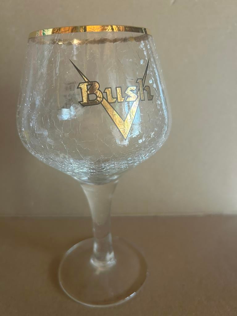 Verre Bush brasserie  dubuisson 25-33cl  1ere génération, Enlèvement ou Envoi