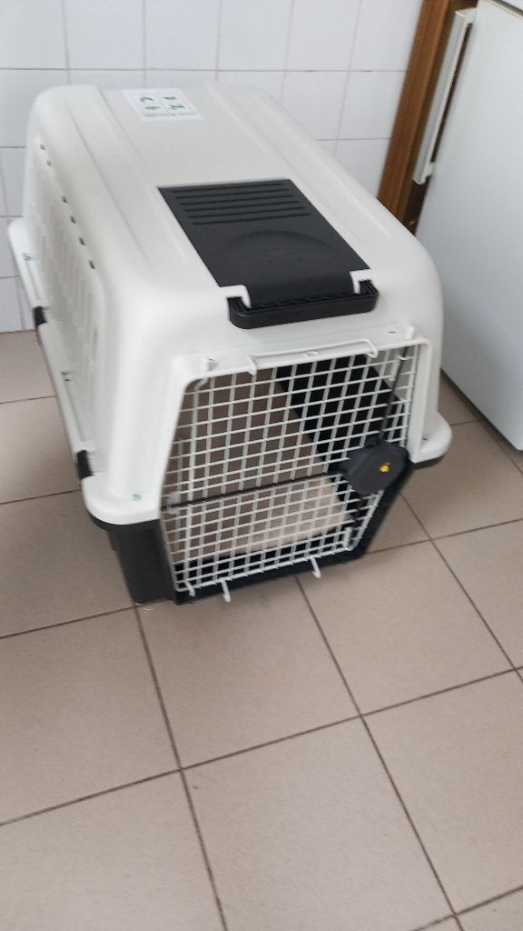 Cages de transport chien, Enlèvement ou Envoi, Comme neuf