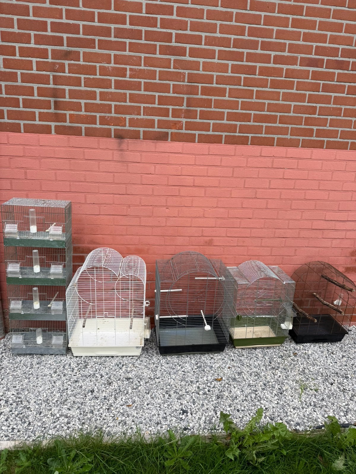 Cage oiseaux, Ophalen