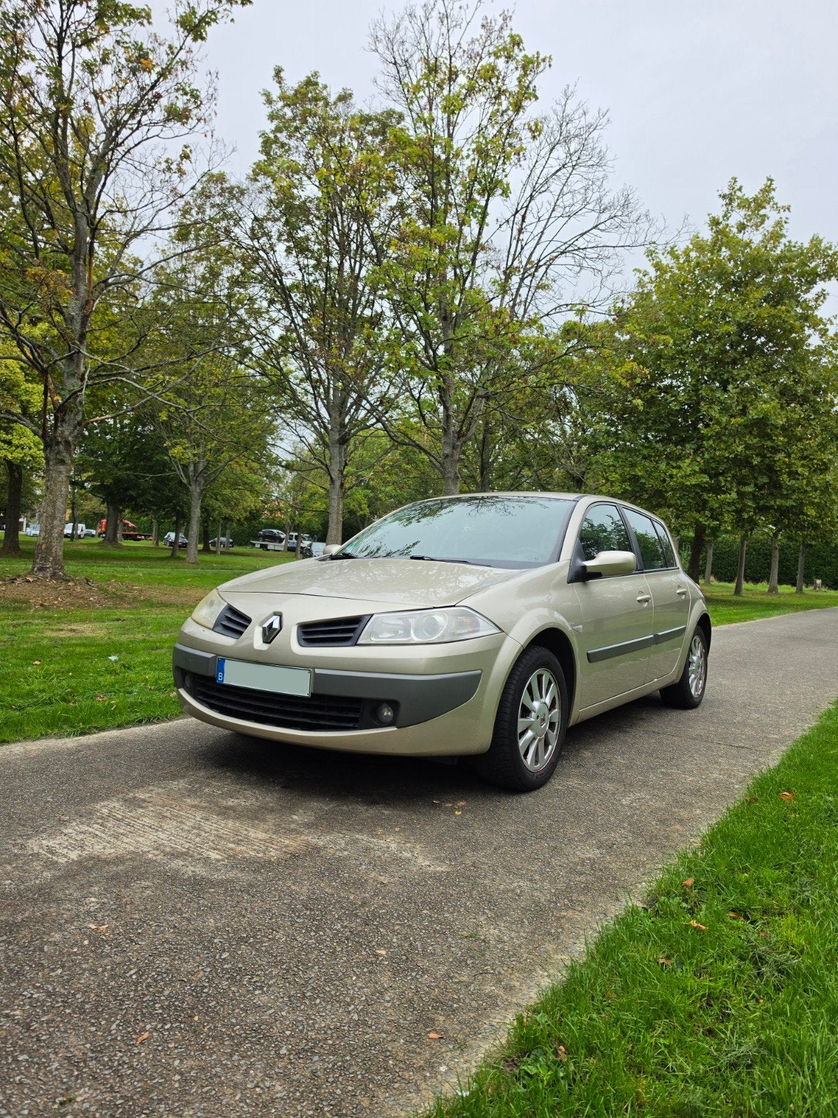 Renault Megane 1.4 Benzine Euro 4 Gekeurd, Boîte manuelle, 5 portes, Particulier, Euro 4