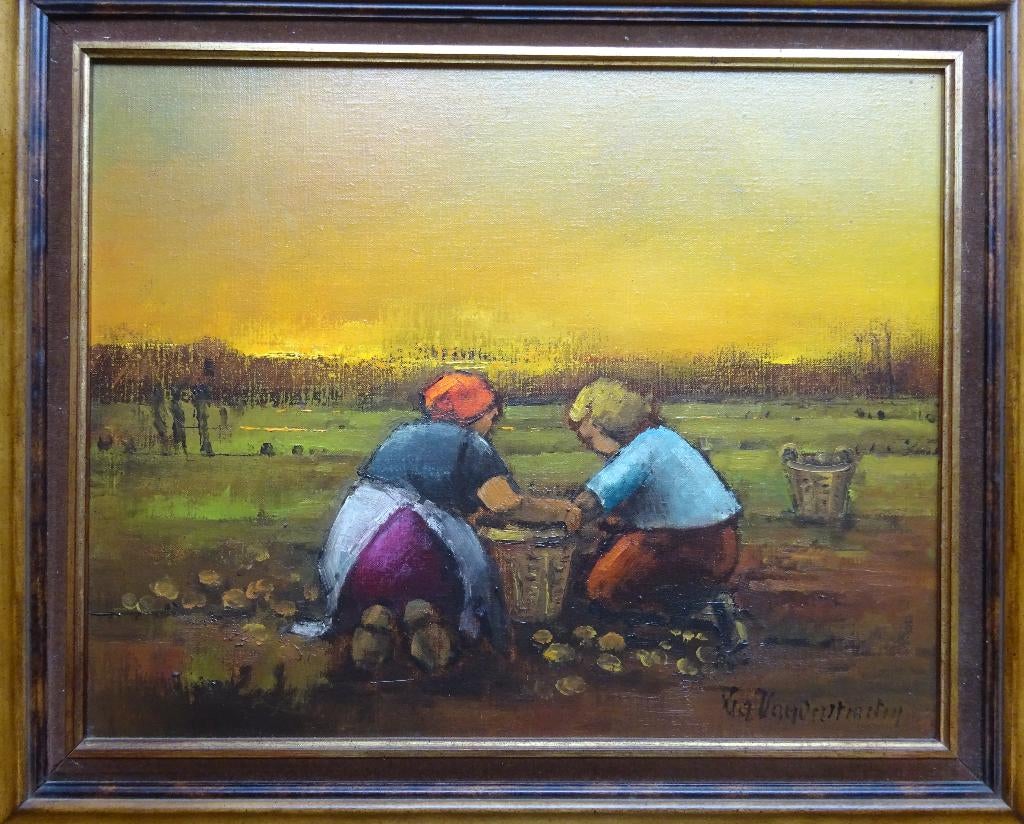 Lea Vanderstraeten, doek, Veldwerk, 40 x 50 cm,, Antiek en Kunst, Kunst | Schilderijen | Klassiek, Doek, Gesigneerd, Ophalen of Verzenden