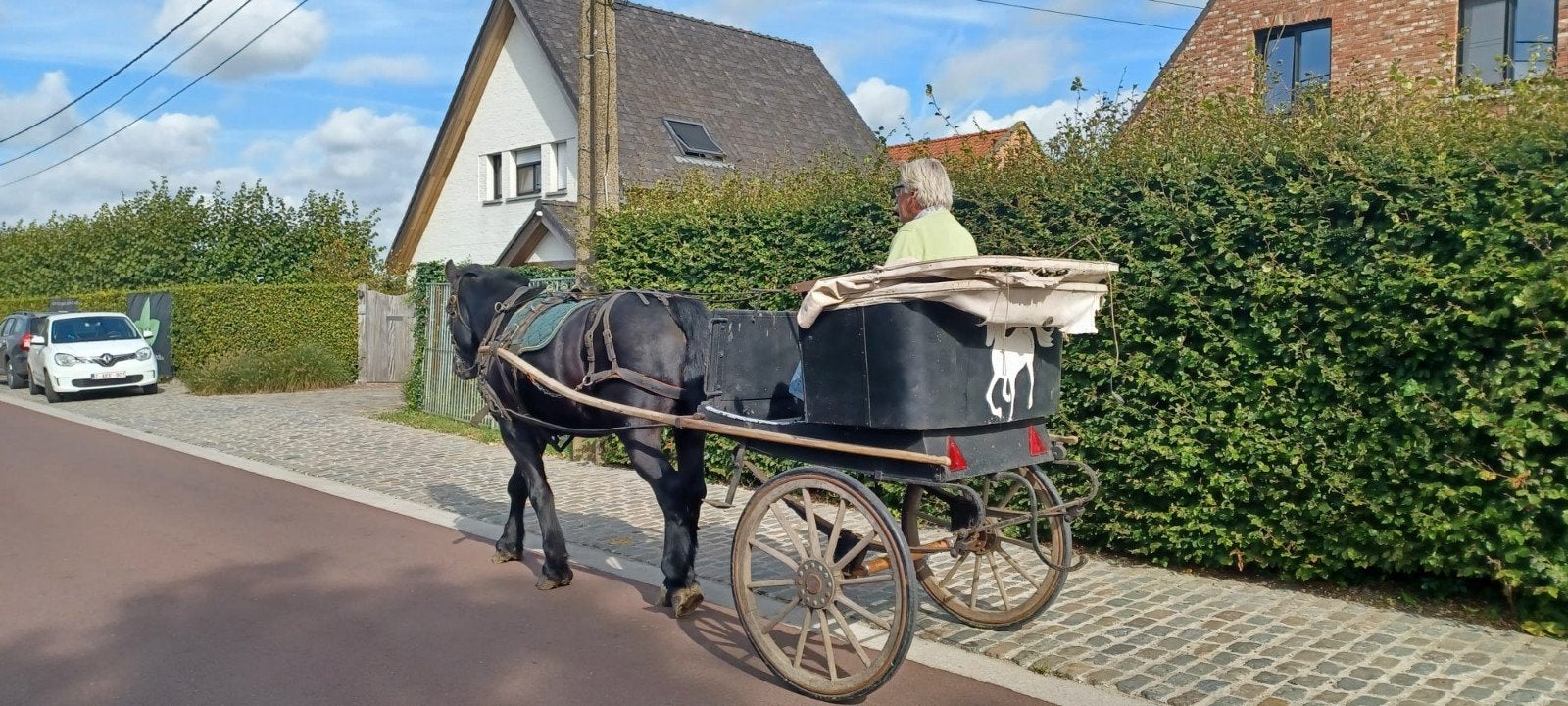 Paarde koets, Dieren en Toebehoren, Ophalen