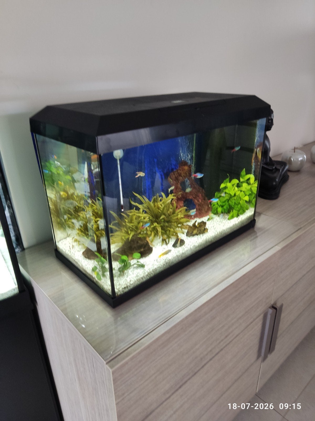 twee aqauriums 60 en 35 liter met alle filtermateriaal, Dieren en Toebehoren, Vissen | Aquaria en Toebehoren, Ophalen, Zo goed als nieuw