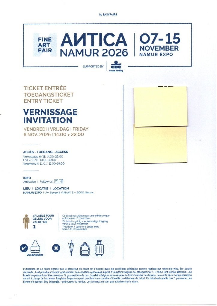 TICKET SALON ANTICA NAMUR 2026 VIP, Tickets en Kaartjes, Eén persoon
