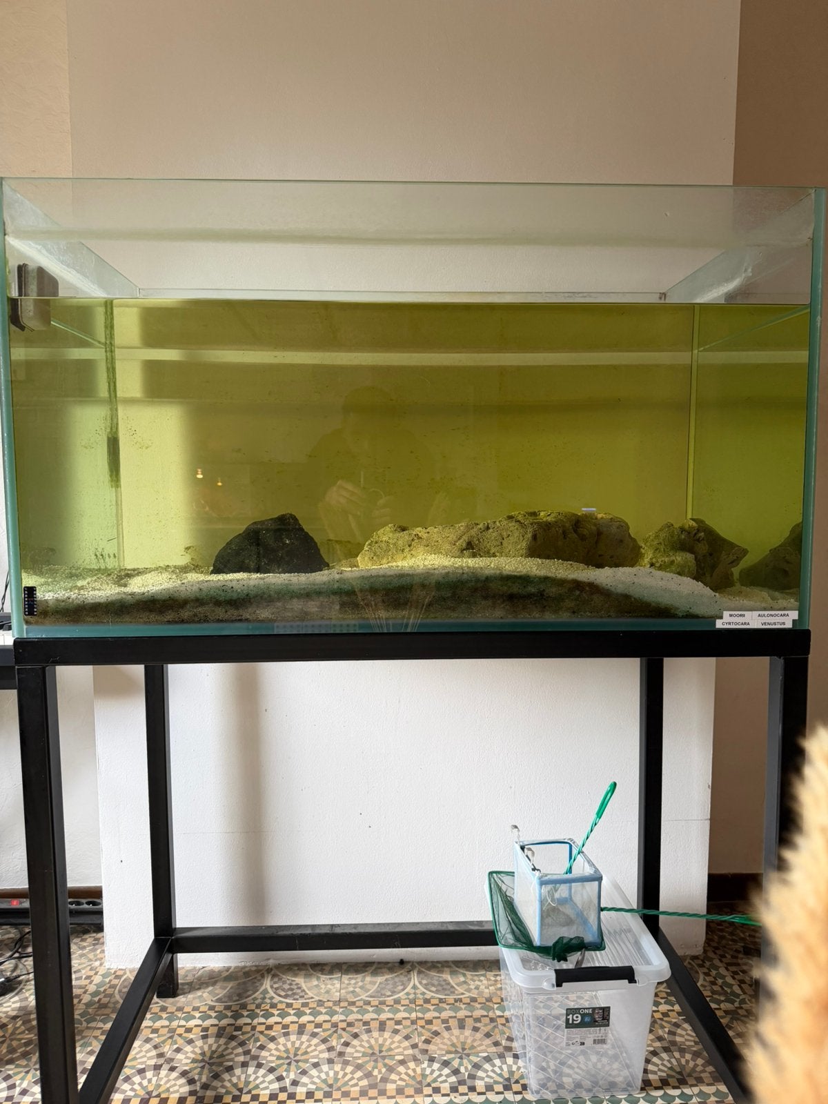 Aquarium 400l, Ophalen, Gebruikt, Leeg aquarium