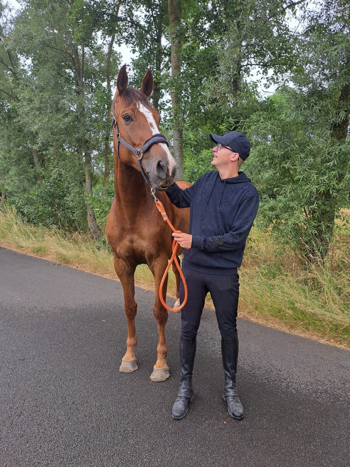 halve stal/bijrijdpaard gezocht