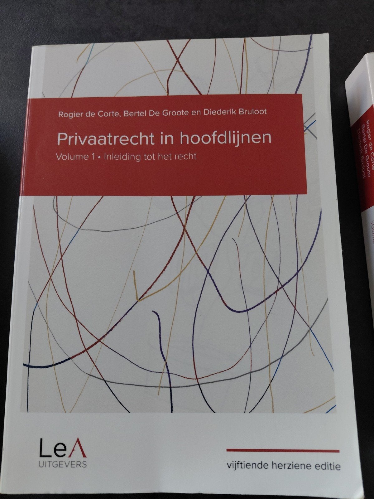 Rogier de Corte - Privaatrecht in hoofdlijnen 15de editie, Ophalen, Rogier de Corte; Bertel De Groote; Diederik Bruloot