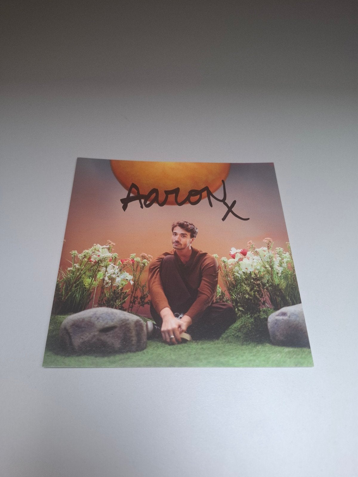 Aaron Blomaert, CD & DVD, CD | Hardrock & Metal, Enlèvement ou Envoi