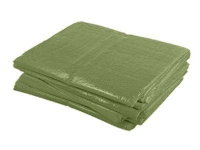 dekzeil 6m x 10m groen, Enlèvement ou Envoi, Neuf, 15 m² ou plus, Voile
