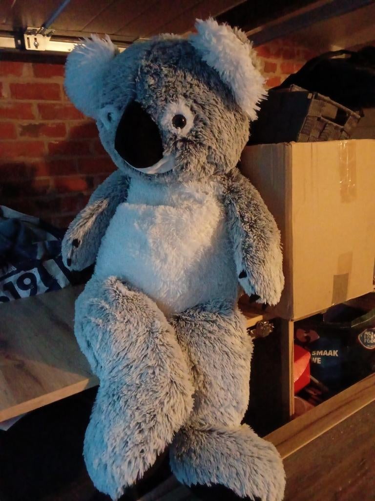 Kaola teddy beer., Ophalen, Beer