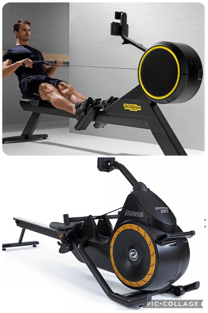 OCTANE PRO OU TECHNOGYM SKILLROW, Enlèvement ou Envoi, Comme neuf