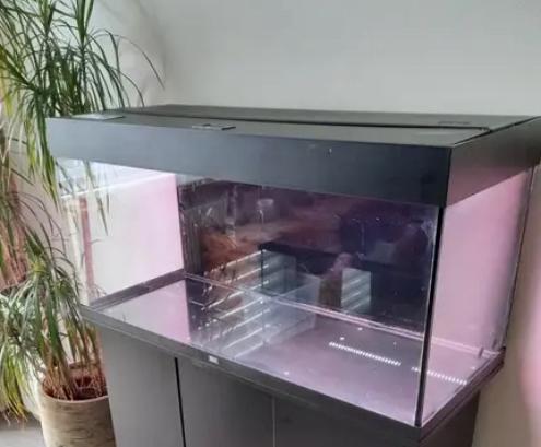 Grote juwel (lek halverwege), Dieren en Toebehoren, Ophalen, Zo goed als nieuw, Juwel