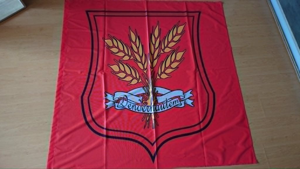 Vlag Denderhoutem Haaltert, Ophalen of Verzenden, Nieuw