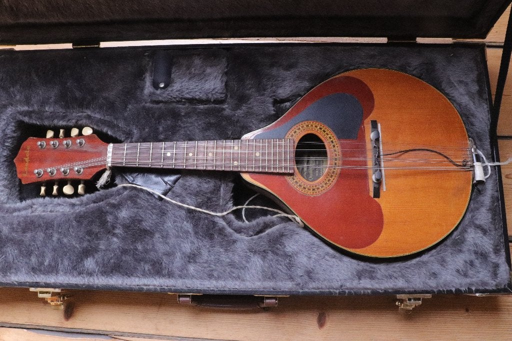 Mandoline Fazer by Landola M-91, Musique & Instruments, Enlèvement