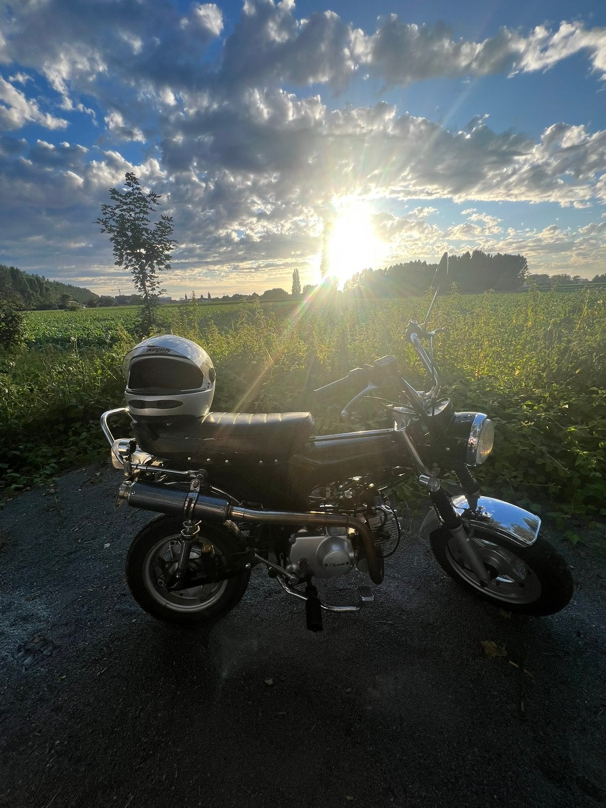 Skyteam dax 50cc klasse b, Autres modèles, 4 vitesses, Comme neuf, Classe B (45 km/h)