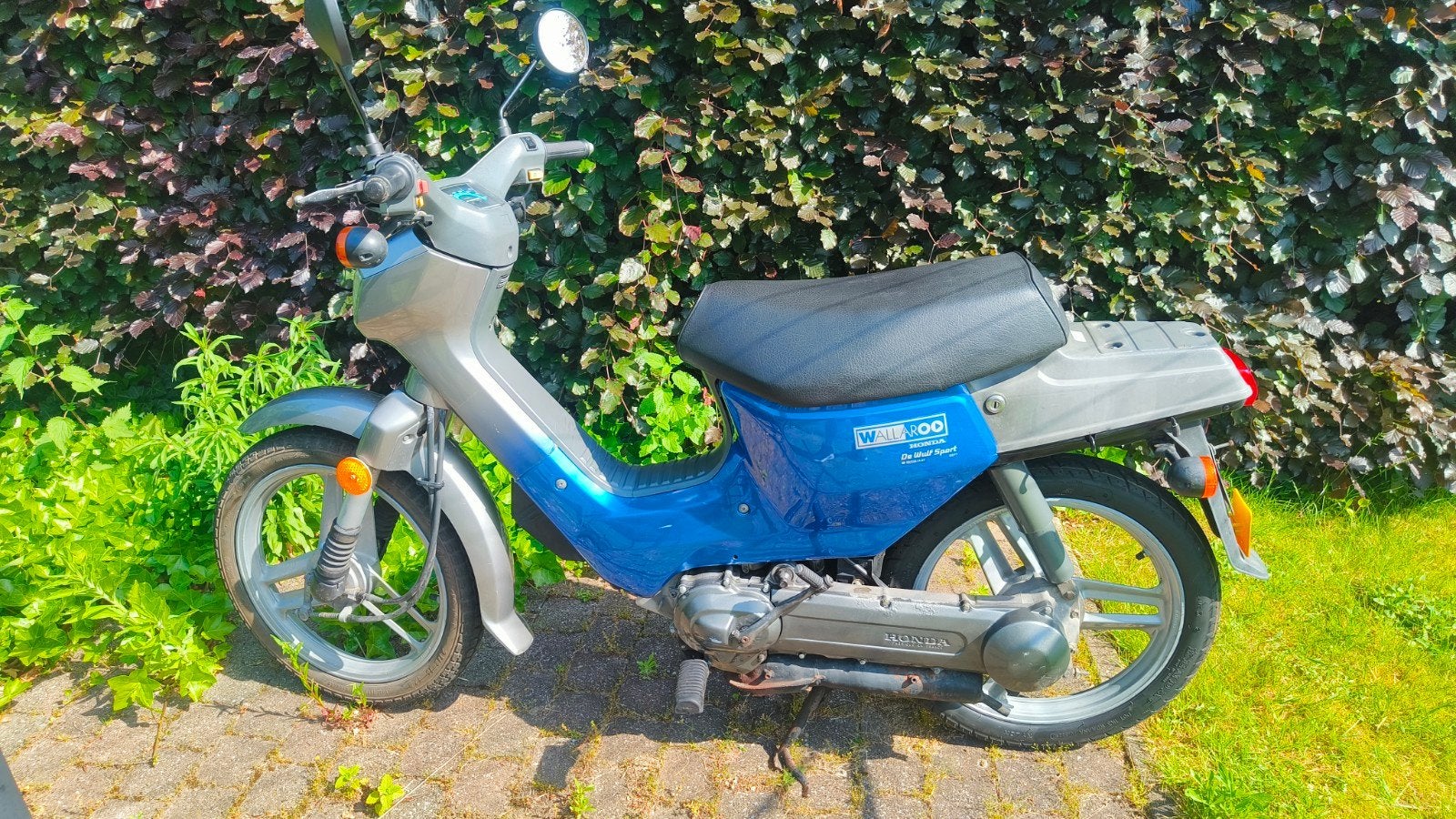 Honda wallaroo deluxe