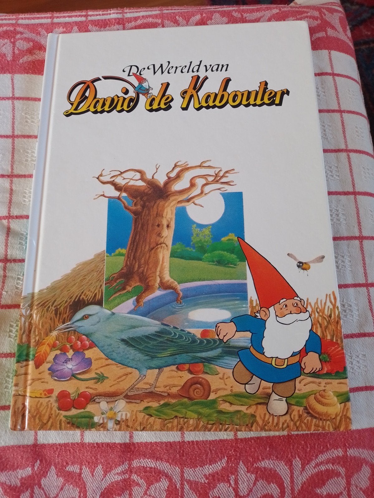 de wereld van David de kabouter, Enlèvement ou Envoi