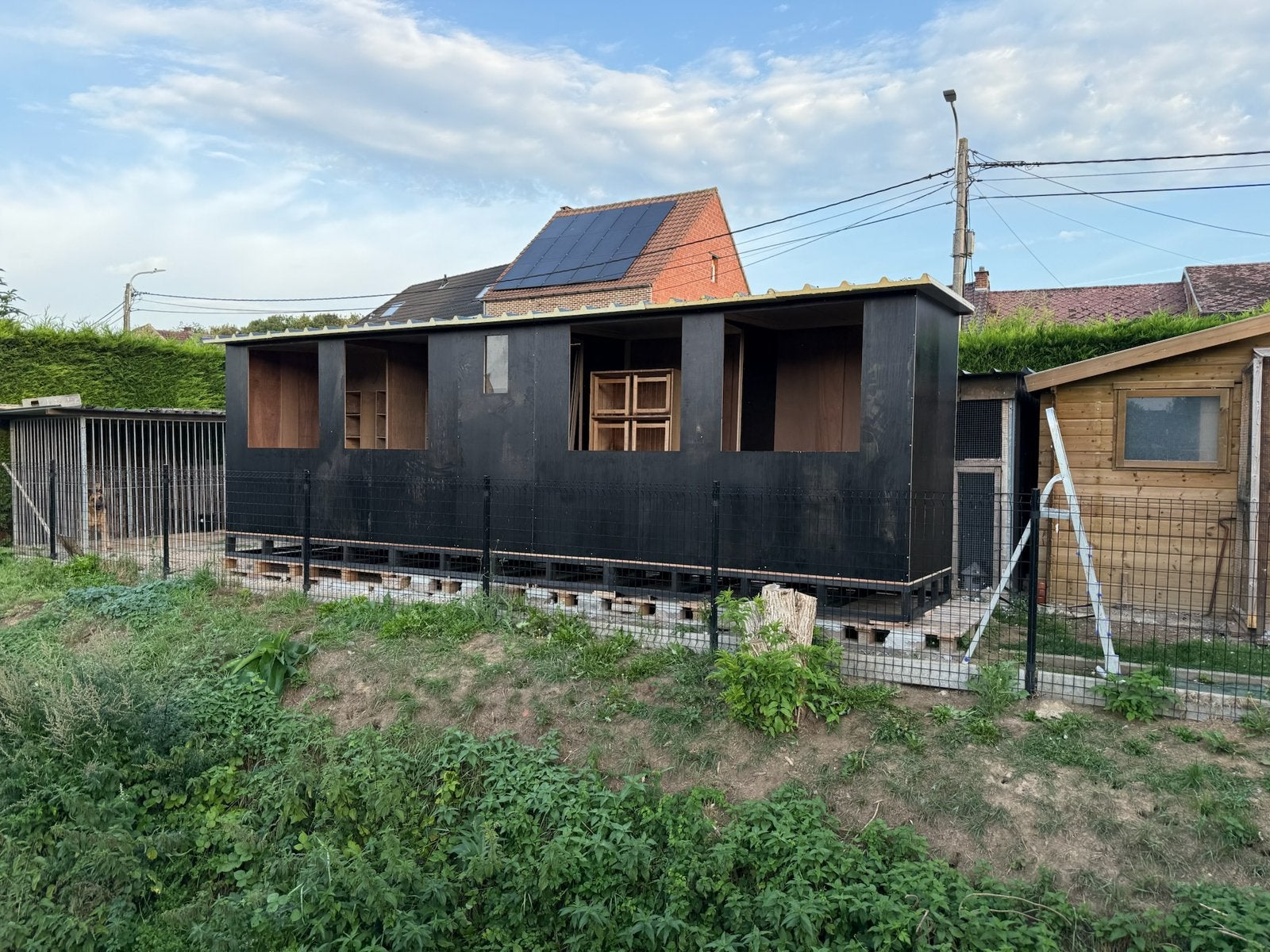 Duivenhok, op maat, met plaatsing ️, Dieren en Toebehoren