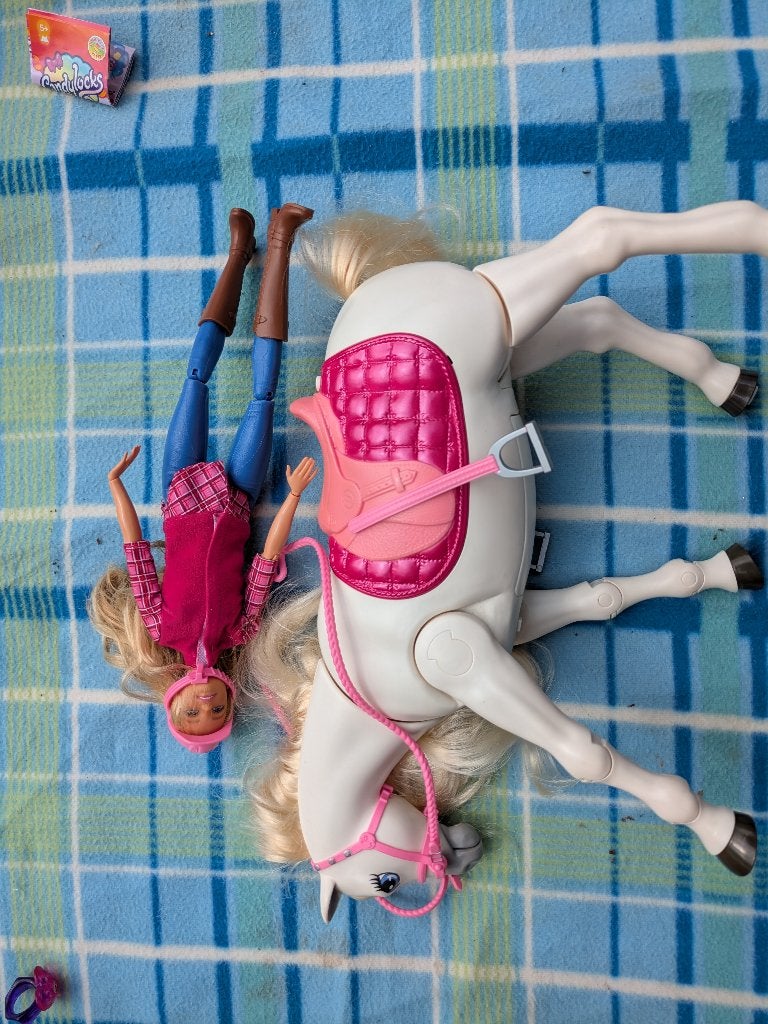 Barbie met lopend paard, Enlèvement, Utilisé, Barbie
