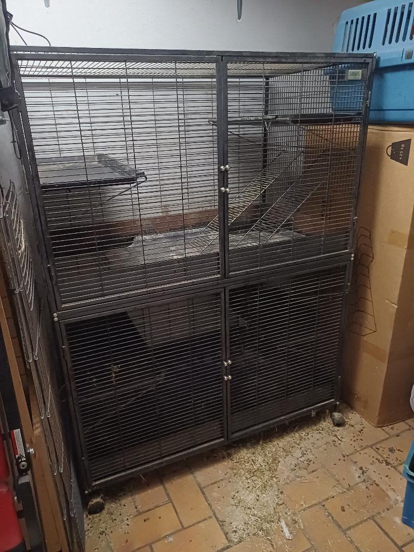 Savic suite royal xxl fretten chinchilla kooi, Dieren en Toebehoren, Ophalen, Kooi, Zo goed als nieuw, 90 cm of meer